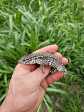 Load image into Gallery viewer, 2024 Oddball Sky Panther Tegus