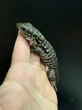 Load image into Gallery viewer, 2025 Jaba Blood red anery Tegus (Amber)