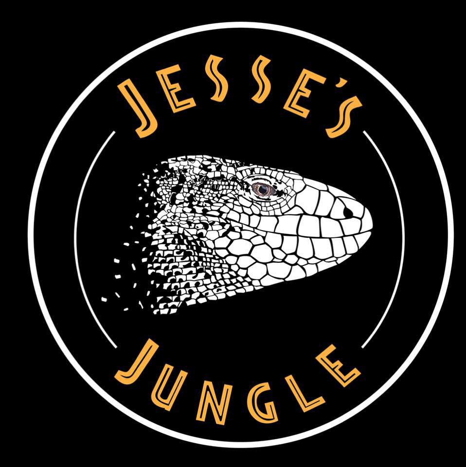 Tegu jungle deals